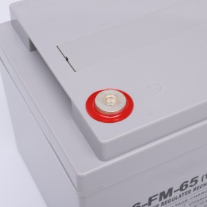 6-FM-65