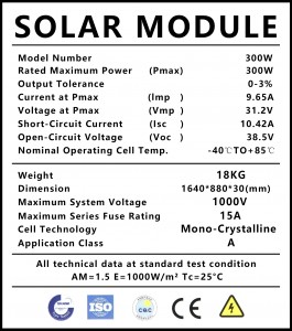 300W