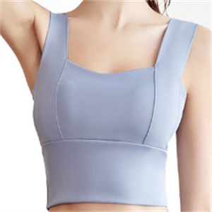 Gym Fitness Sport Sleeveless Vest Running Quick Drying Women Yoga Top Item No.DDWX32