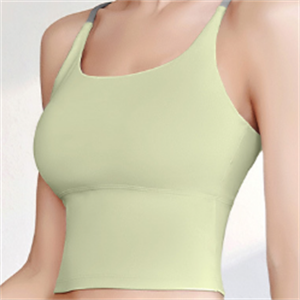 Women yoga bra athletic gym fitness workout top Item No.DDWX3